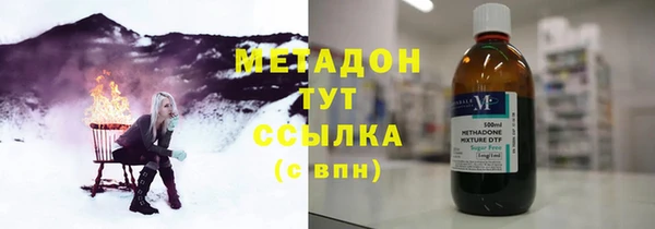 трава Аркадак