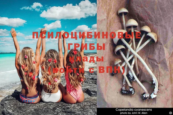 jwh Арсеньев