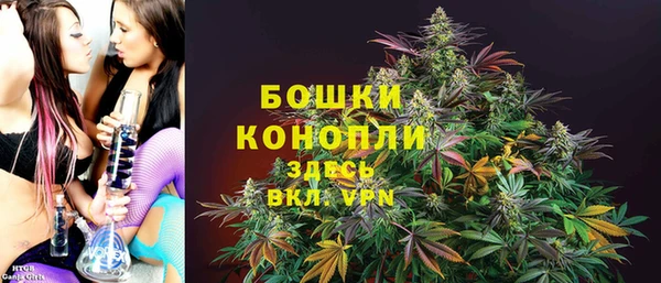 трава Аркадак