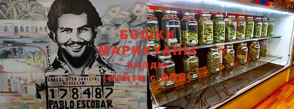 трава Аркадак